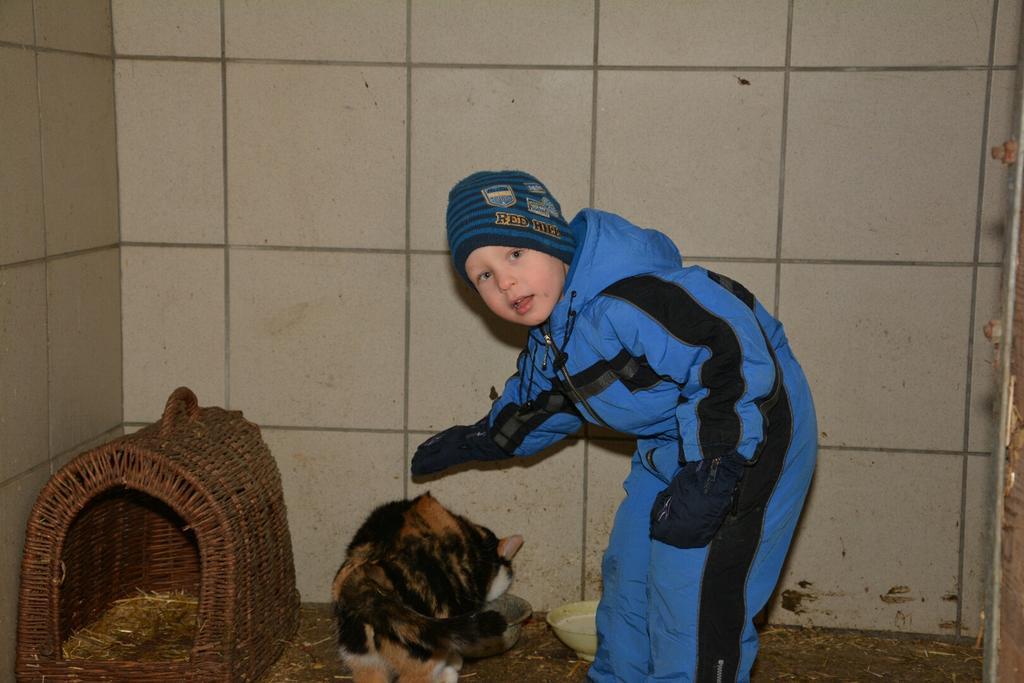 Klein Schoental Gostling an der Ybbs Bagian luar foto